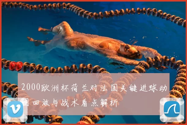 2000欧洲杯荷兰对法国关键进球动图回放与战术看点解析