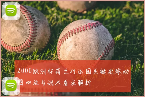 2000欧洲杯荷兰对法国关键进球动图回放与战术看点解析