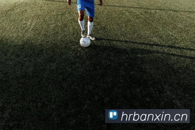 App Interface Preview